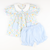 Playground Pocket Set - Pumpkin Blue Bow Trellis
