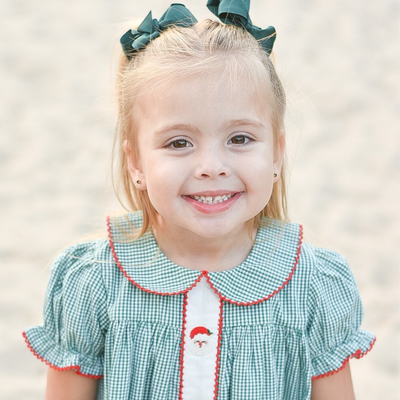 Embroidered Santa Collared Dress - Dark Green Mini Gingham