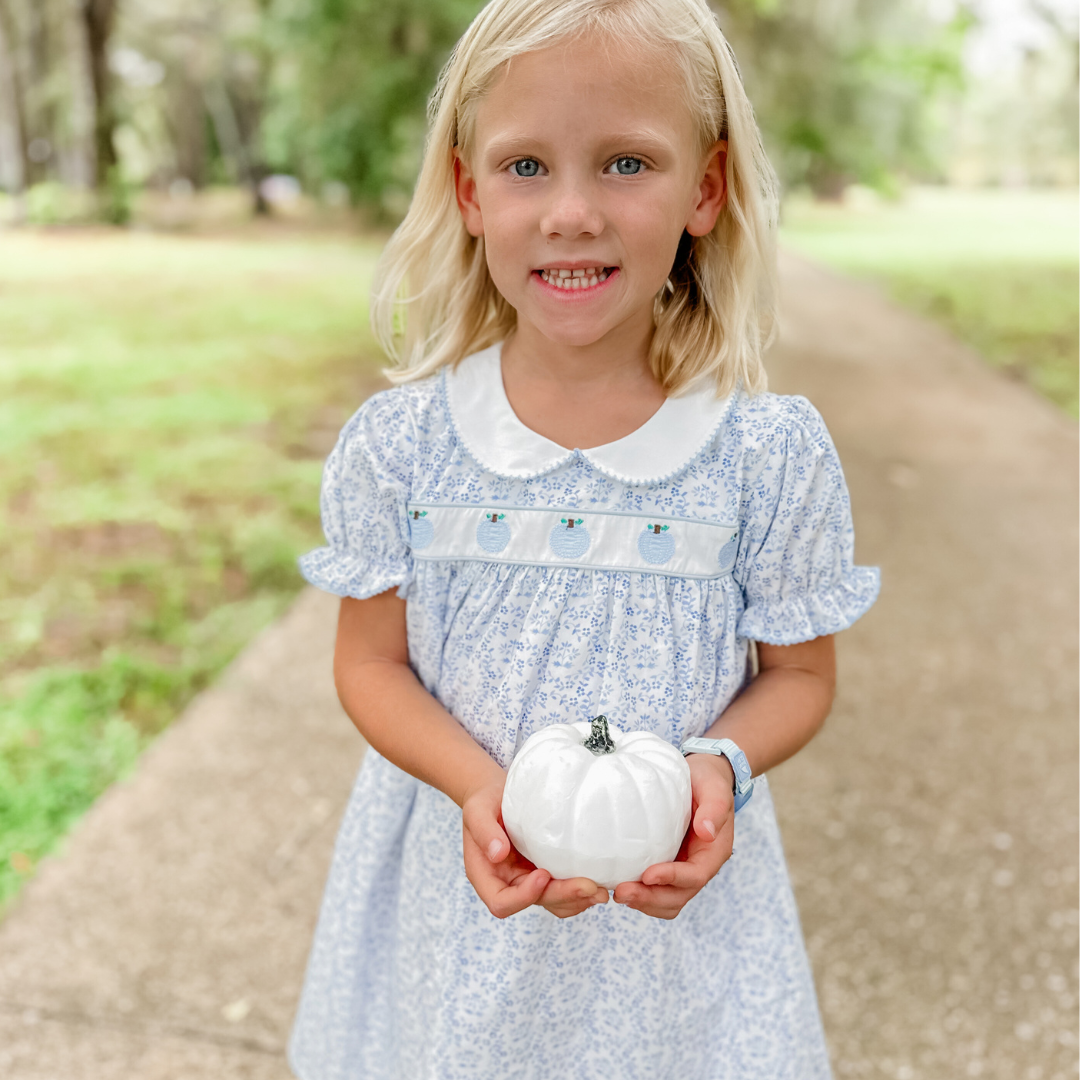 Embroidered Tiny Blue Pumpkins Dress - Blue Chinoiserie - Stellybelly