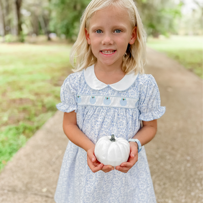Embroidered Tiny Blue Pumpkins Dress - Blue Chinoiserie - Stellybelly