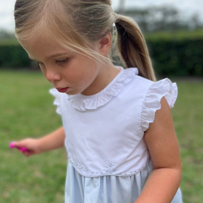 Embroidered Ruffle Dress - Light Blue - Stellybelly