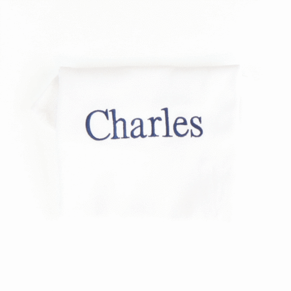 Library Font - Stellybelly